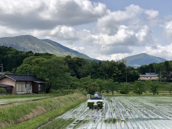 加悦ファーマーズライス　米・野菜生産者協議会の田植え風景です。